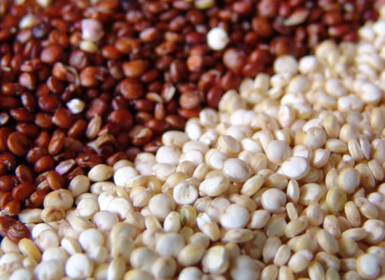 Quinoa: the “Mother Grain”
